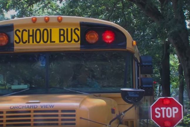 School Bus Safety School Bus Safety (1)
